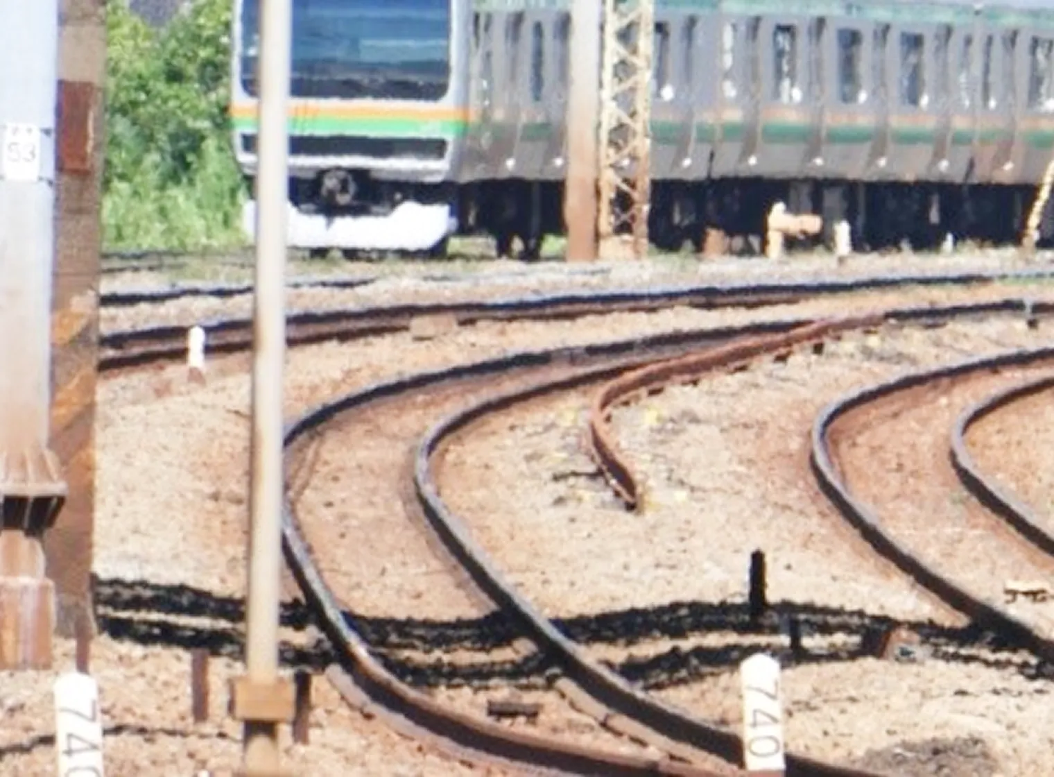 外での検査で雨でも、 限られた時間でより早く検査をしたい