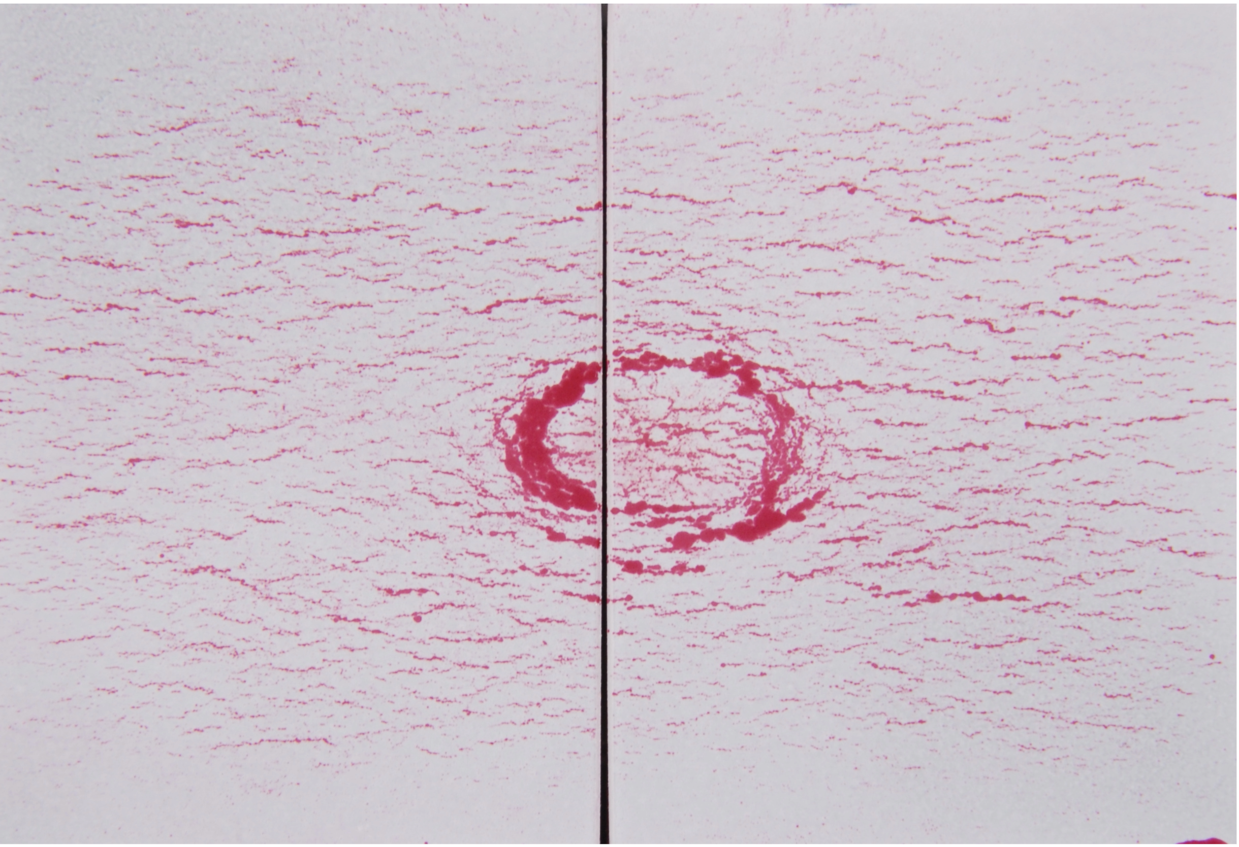 Copy ASME Test panel